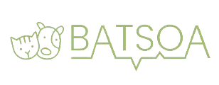 BaTSoA